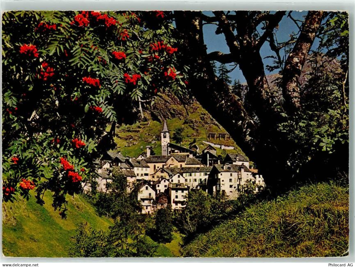 6696 Fusio - 39405693