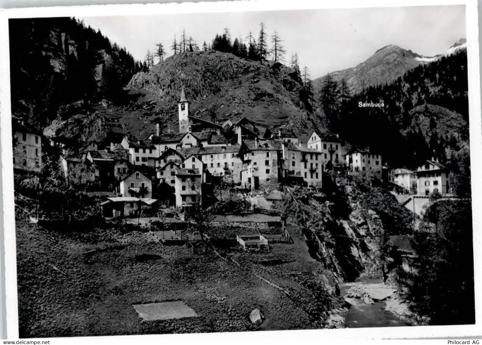 6696 Fusio - 50796973