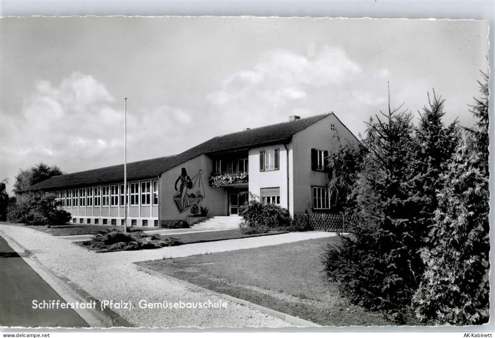 67105 W6707 Schifferstadt - Gemüsebauschule - 51639849