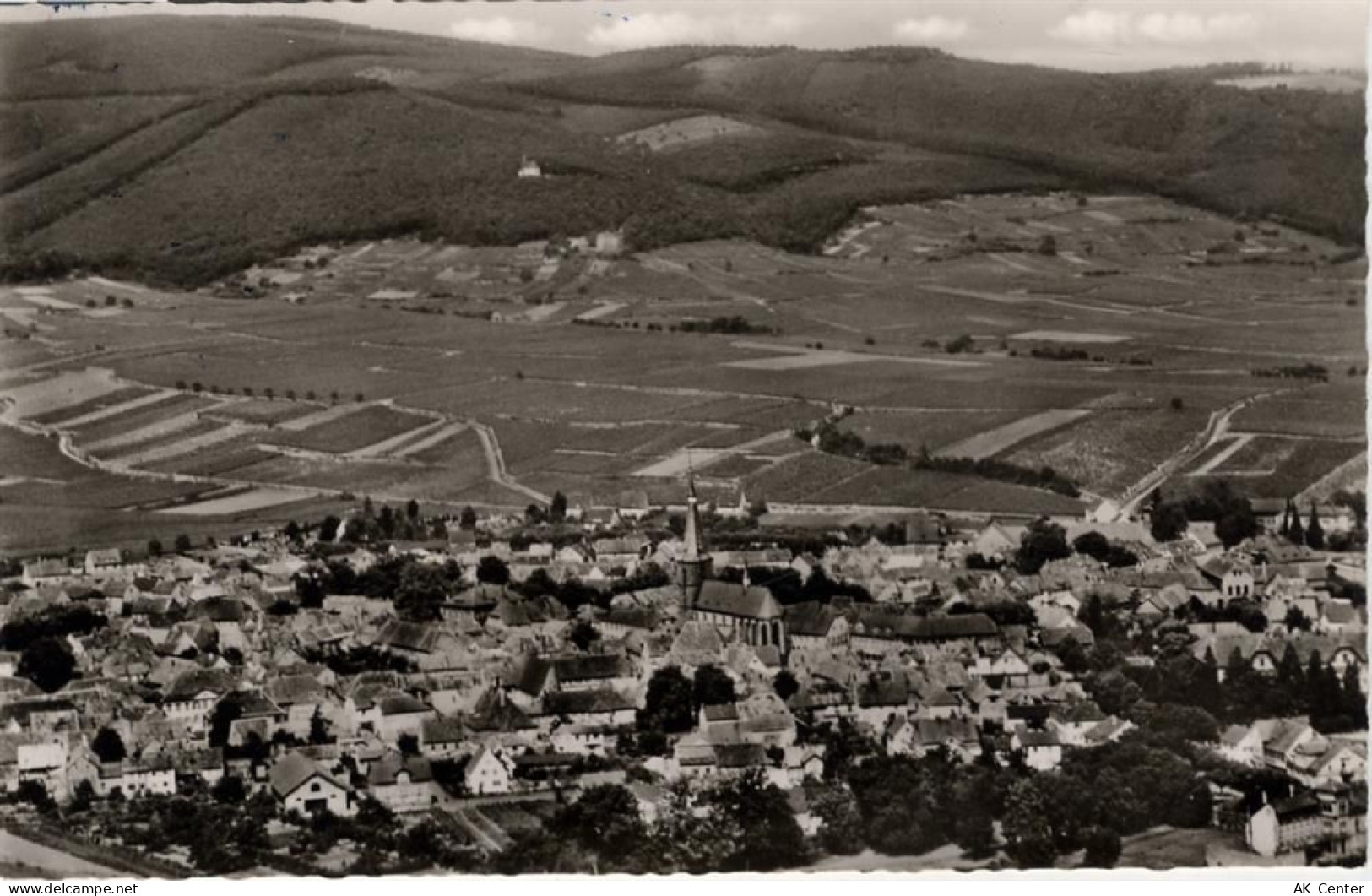67146 W6705 Deidesheim um 1950-60 - Deidesheim a.d. Weinstraße, Luftbild... - 20010970