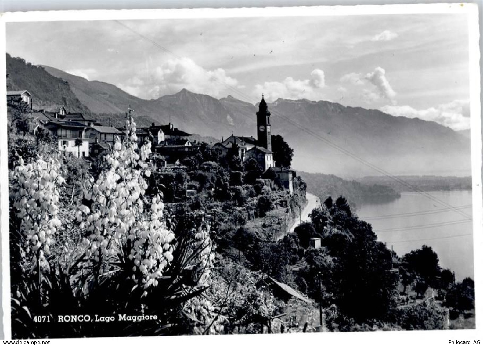 6777 Ronco Quinto - Lago Maggiore - 51950439