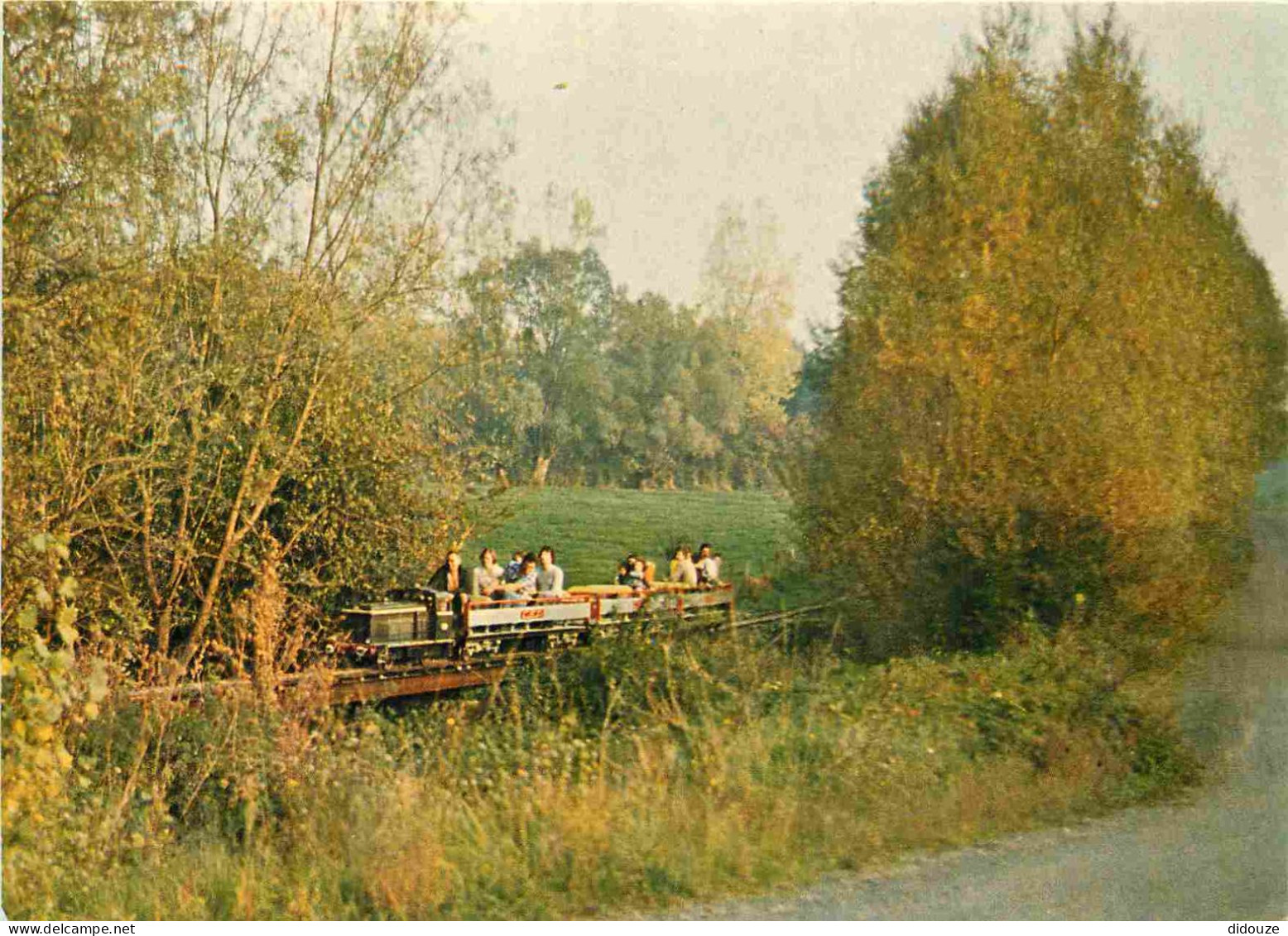 69 - Anse - Chemin de fer touristique d'Anse - L'ancêtre 1968 dans un paysage d'automne - CPM - Voir Scans Recto-Verso