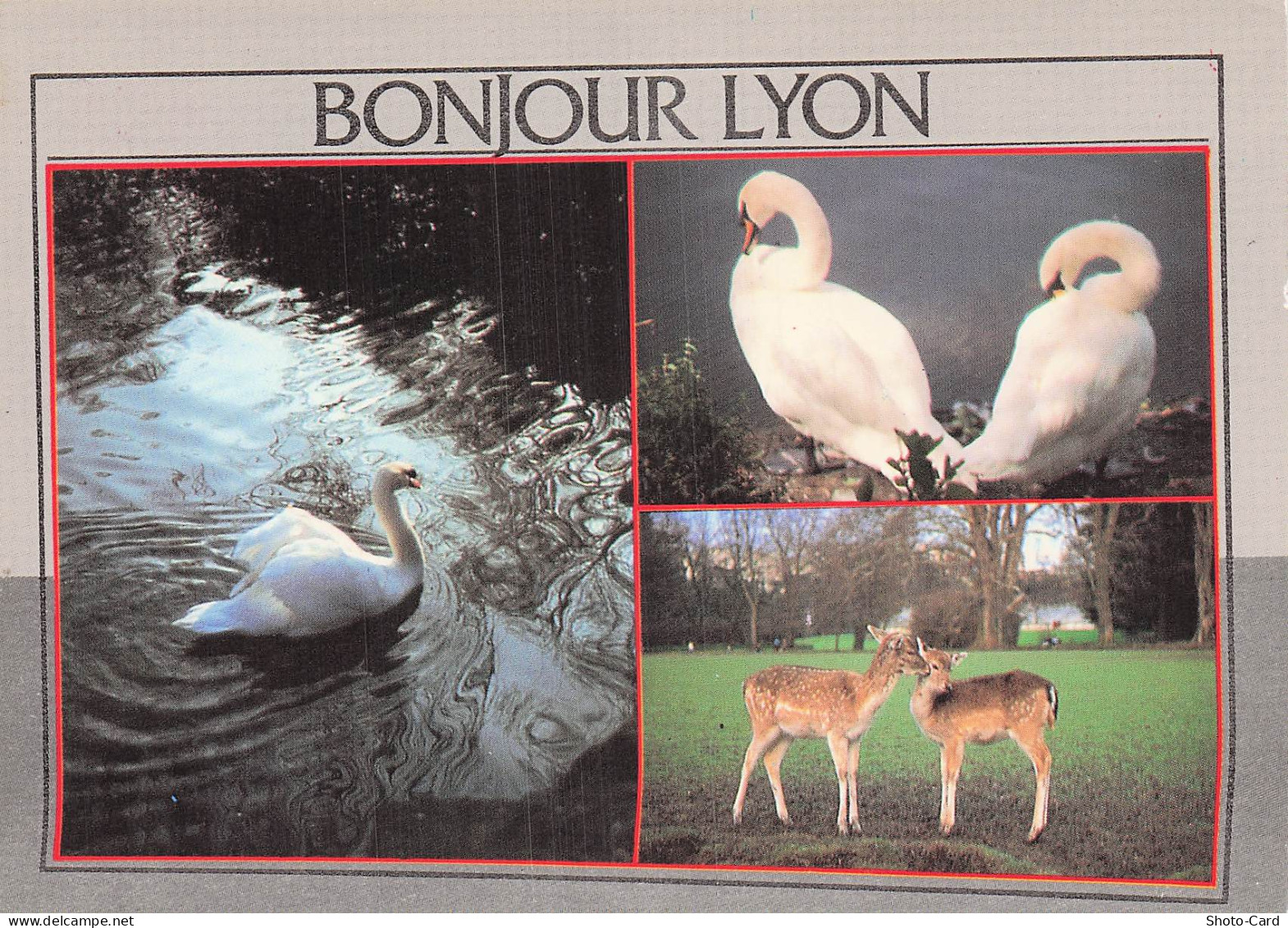 69 CALUIRE ET CUIRE PARC DE LA TETE D OR