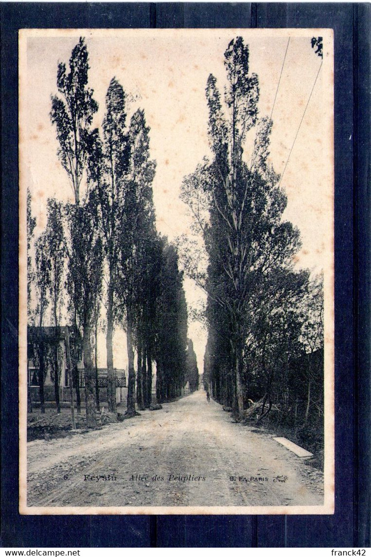 69. feyzin. allée des peupliers