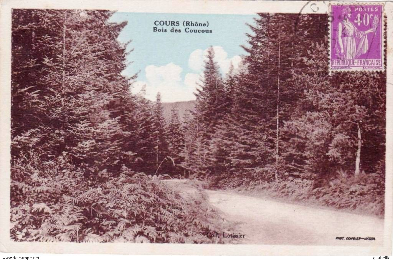 69 - rhone -  COURS la VILLE - bois des coucous