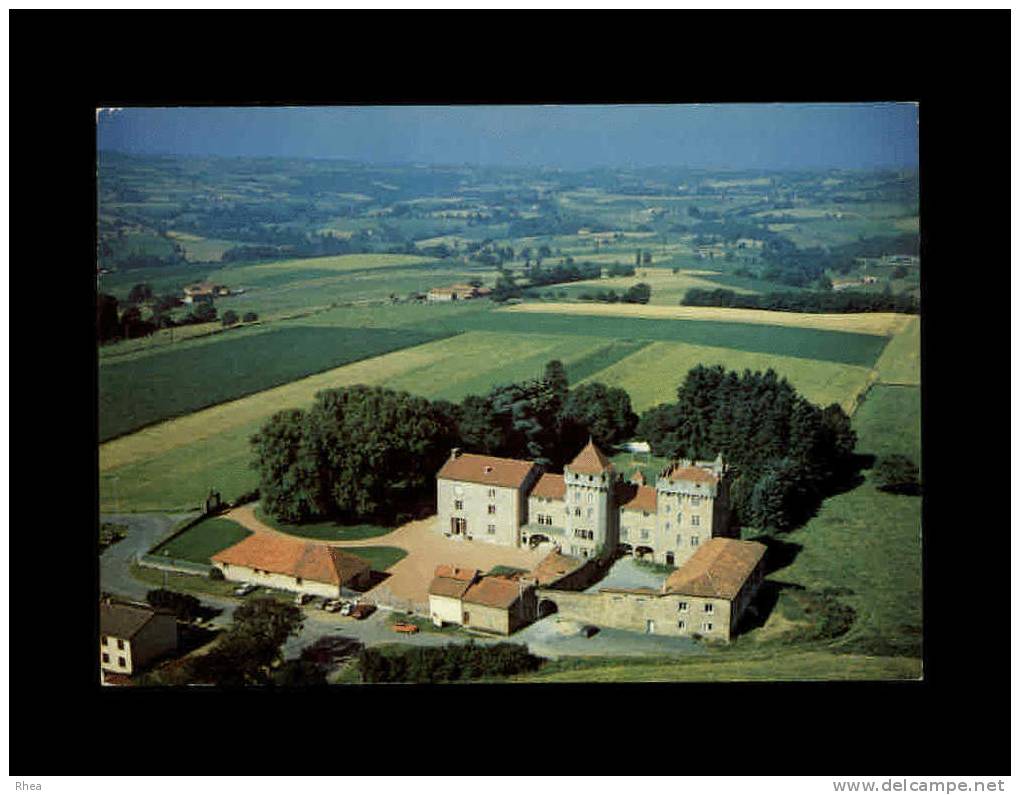 69 - SAINT-SYMPHORIEN-SUR-COISE - Chateau de Pluvy - 47966