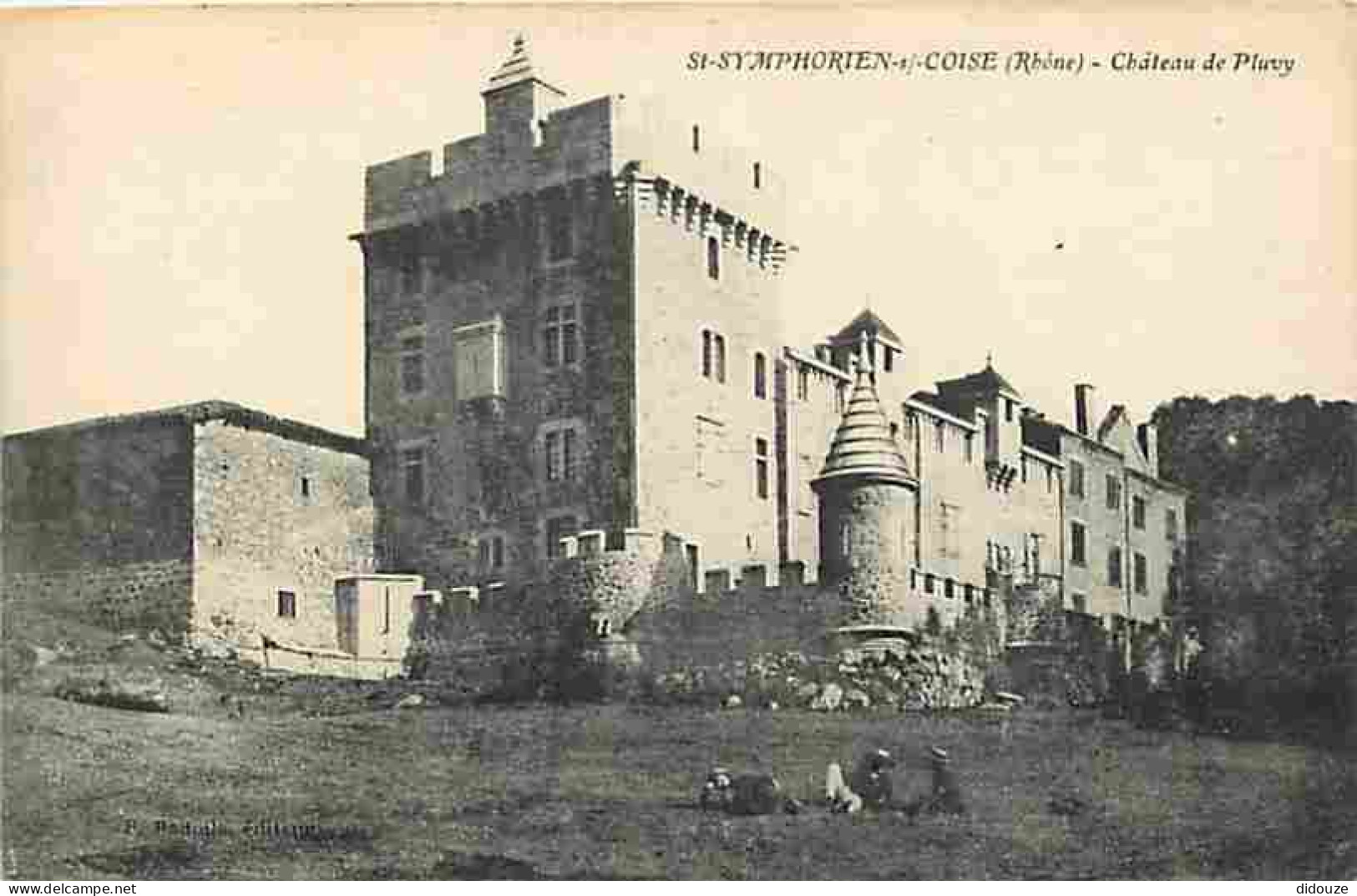 69 - Saint Symphorien sur Coise - Château de Pluvy - Animée - Carte Neuve - CPA - Voir Scans Recto-Verso
