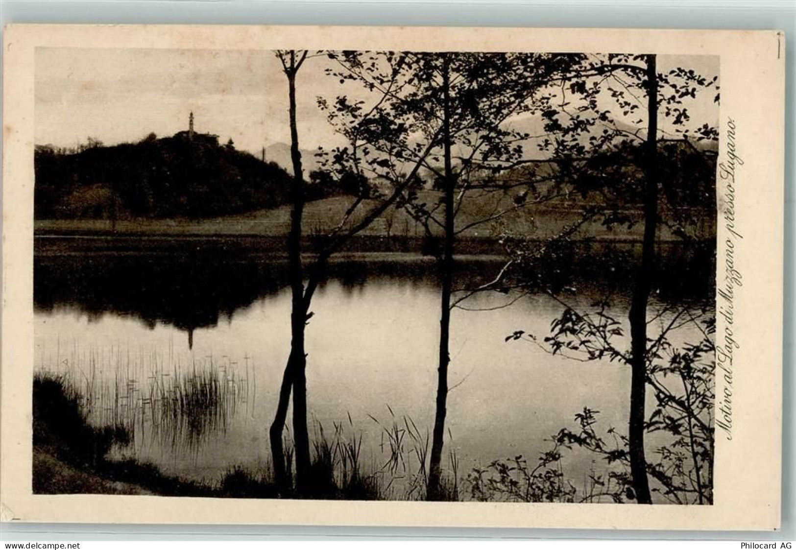 6900 Lugano - Lago di Muzzano - 52305890