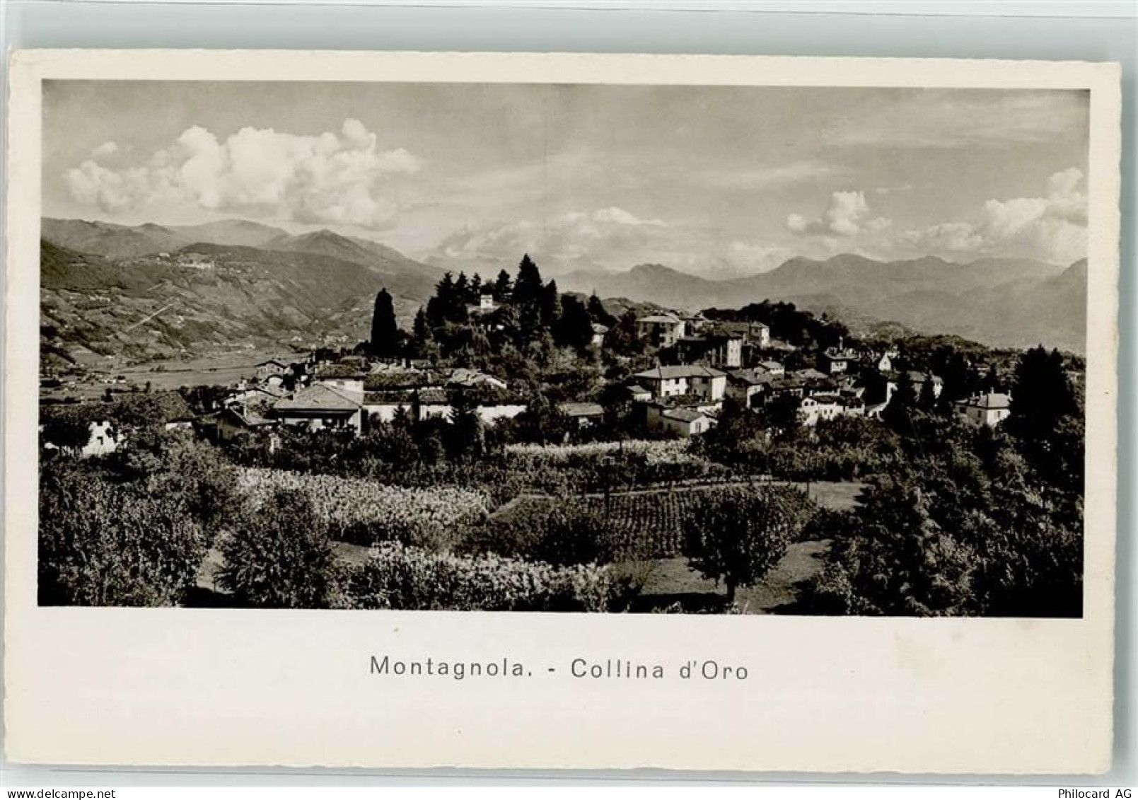 6926 Montagnola Foto AK Collina dOro - 39583668