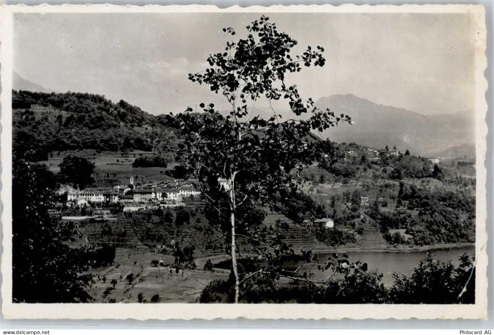 6933 Muzzano 1942 - 51425128