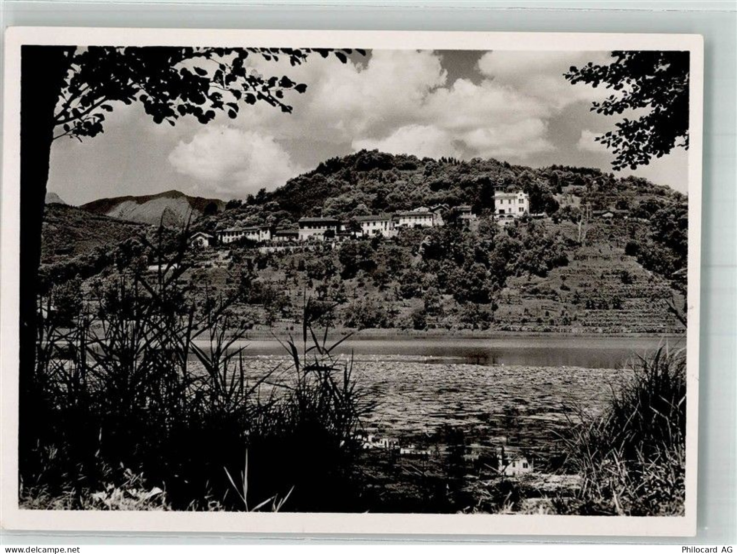 6933 Muzzano 1949 Foto AK - 38211774