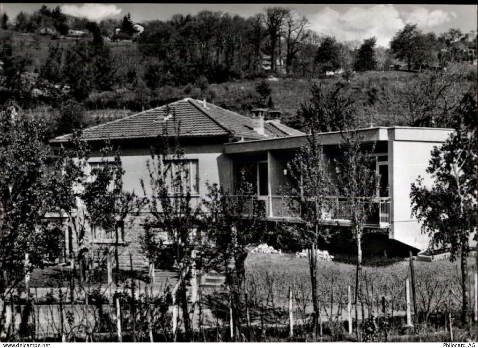 6933 Muzzano Agnuzzo - 50474623