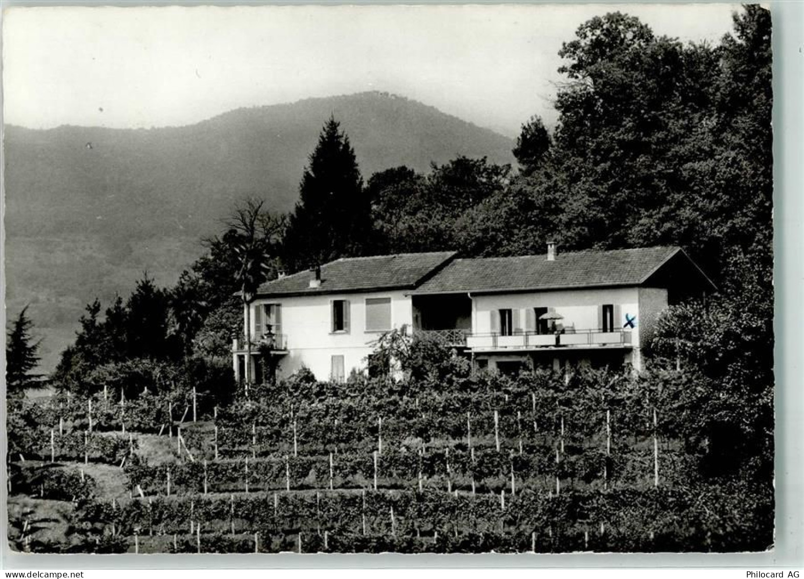 6933 Muzzano - La Chiusaretta - 13935956