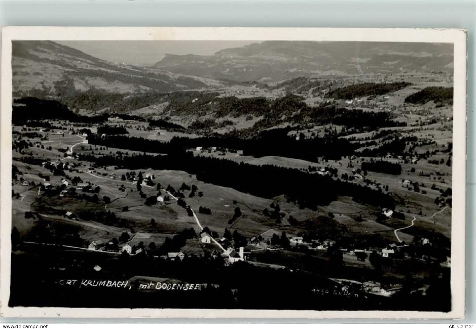 6942 Krumbach - 10356497