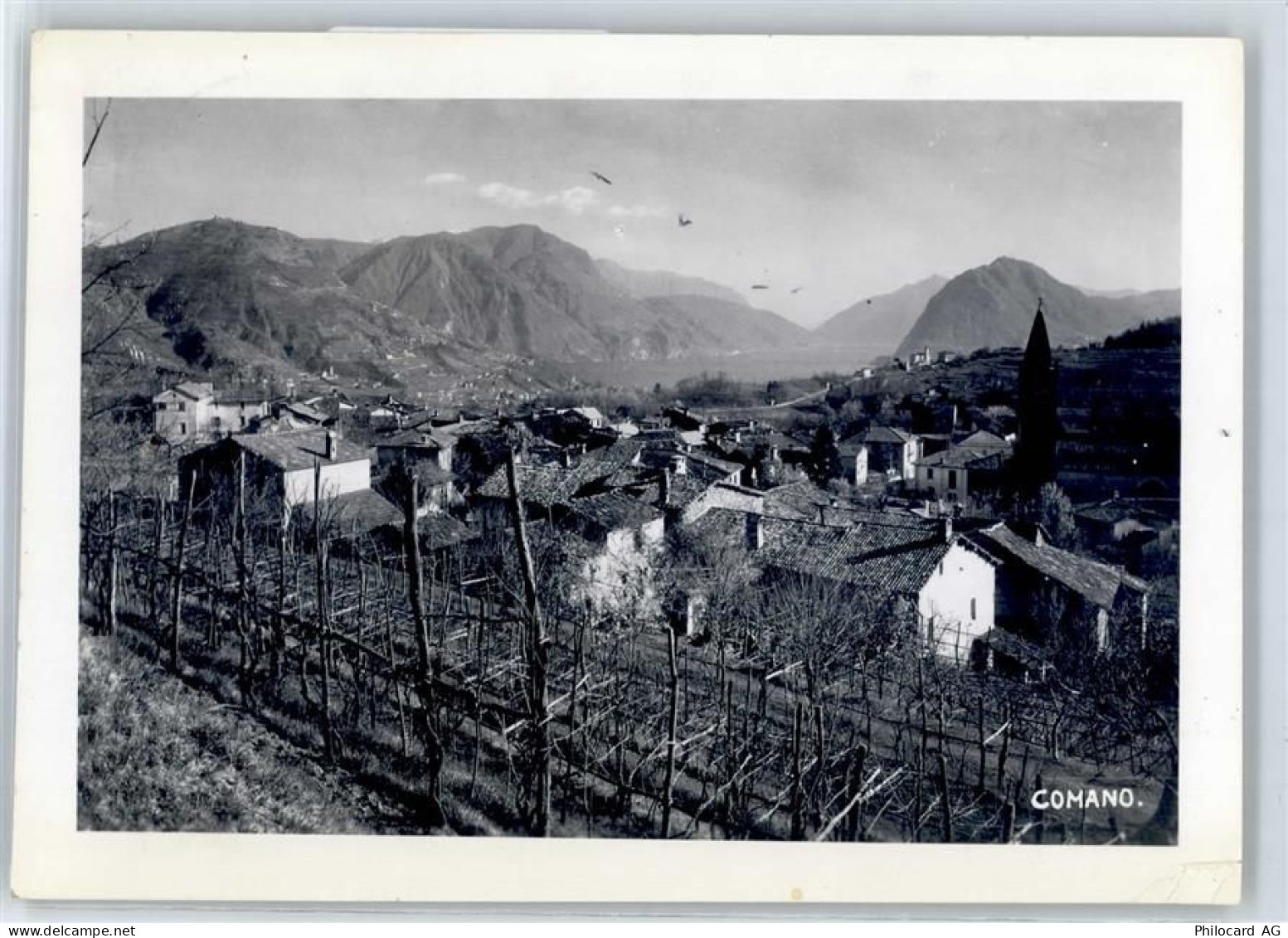 6949 Comano - Weinberge - 51425178