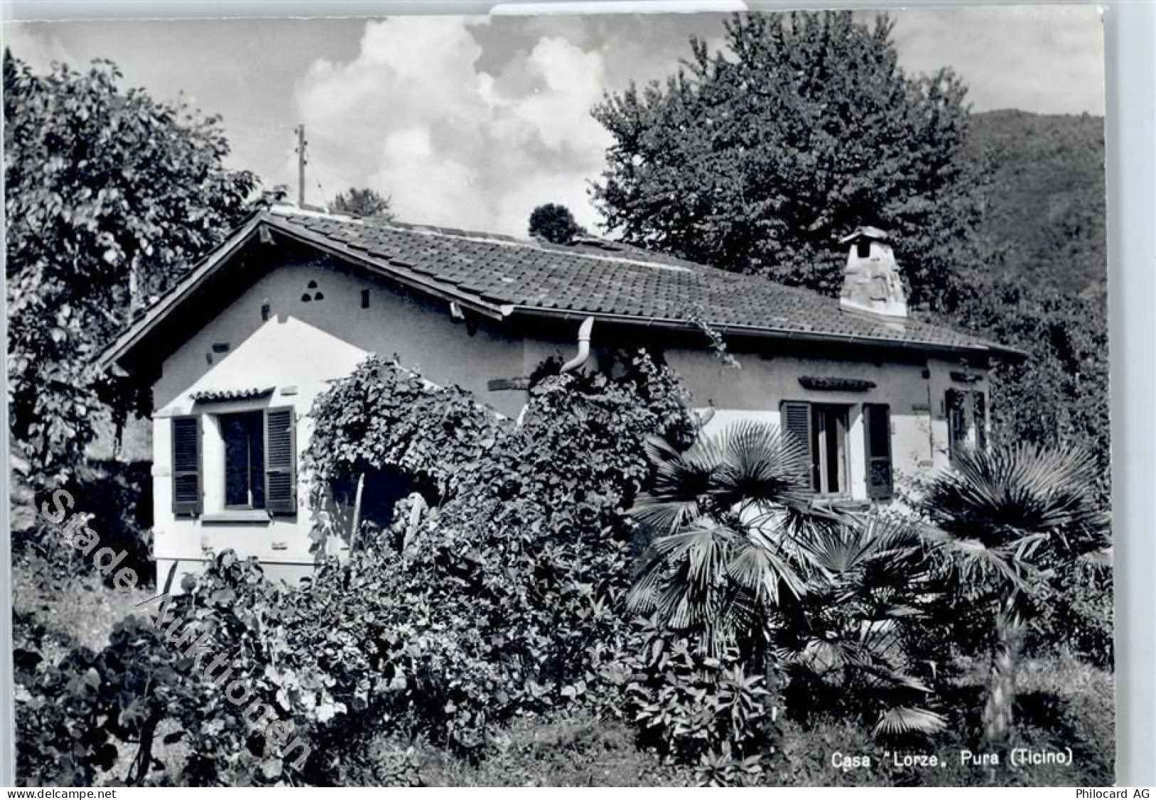 6984 Pura - Casa Lorze - 51282476