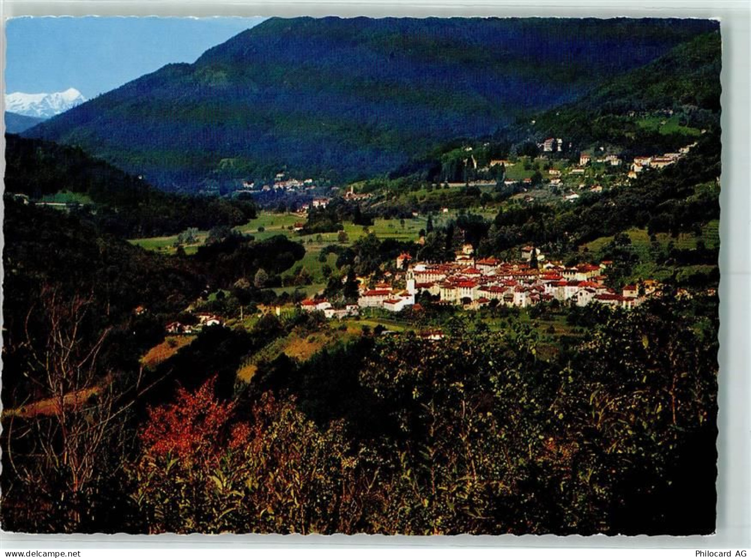 6986 Curio - Malcantone - 10282750