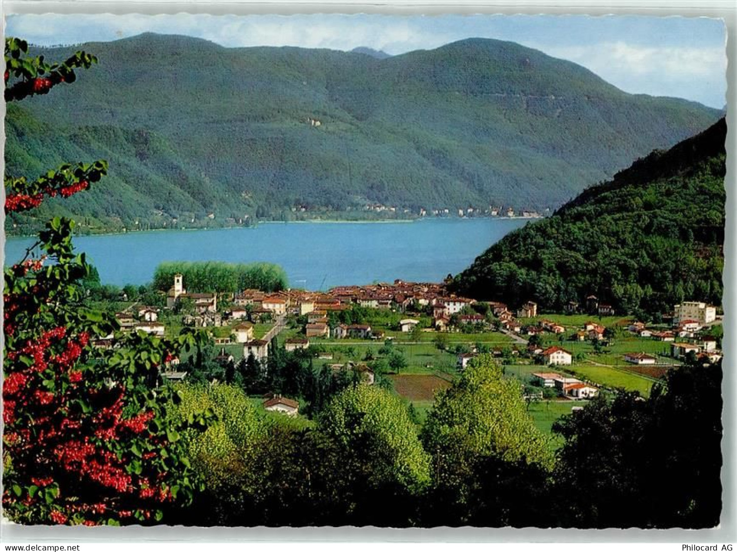 6987 Caslano - 39492259