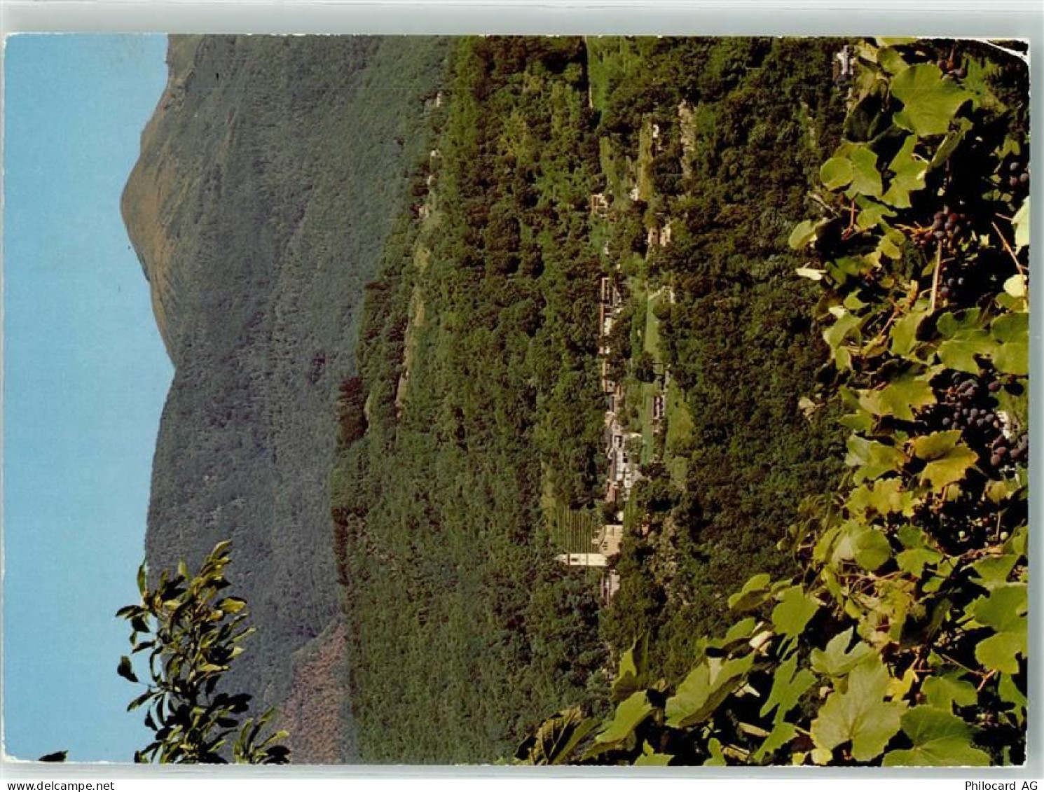 6997 Sessa - 39405003