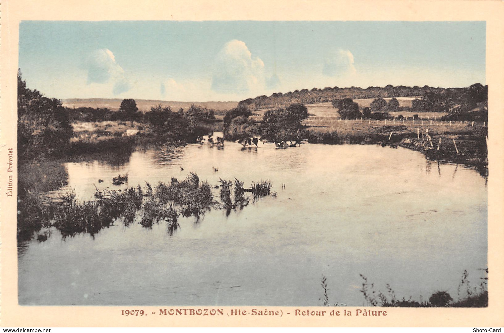 70 MONTBOZON RETOUR DE LA PATURE