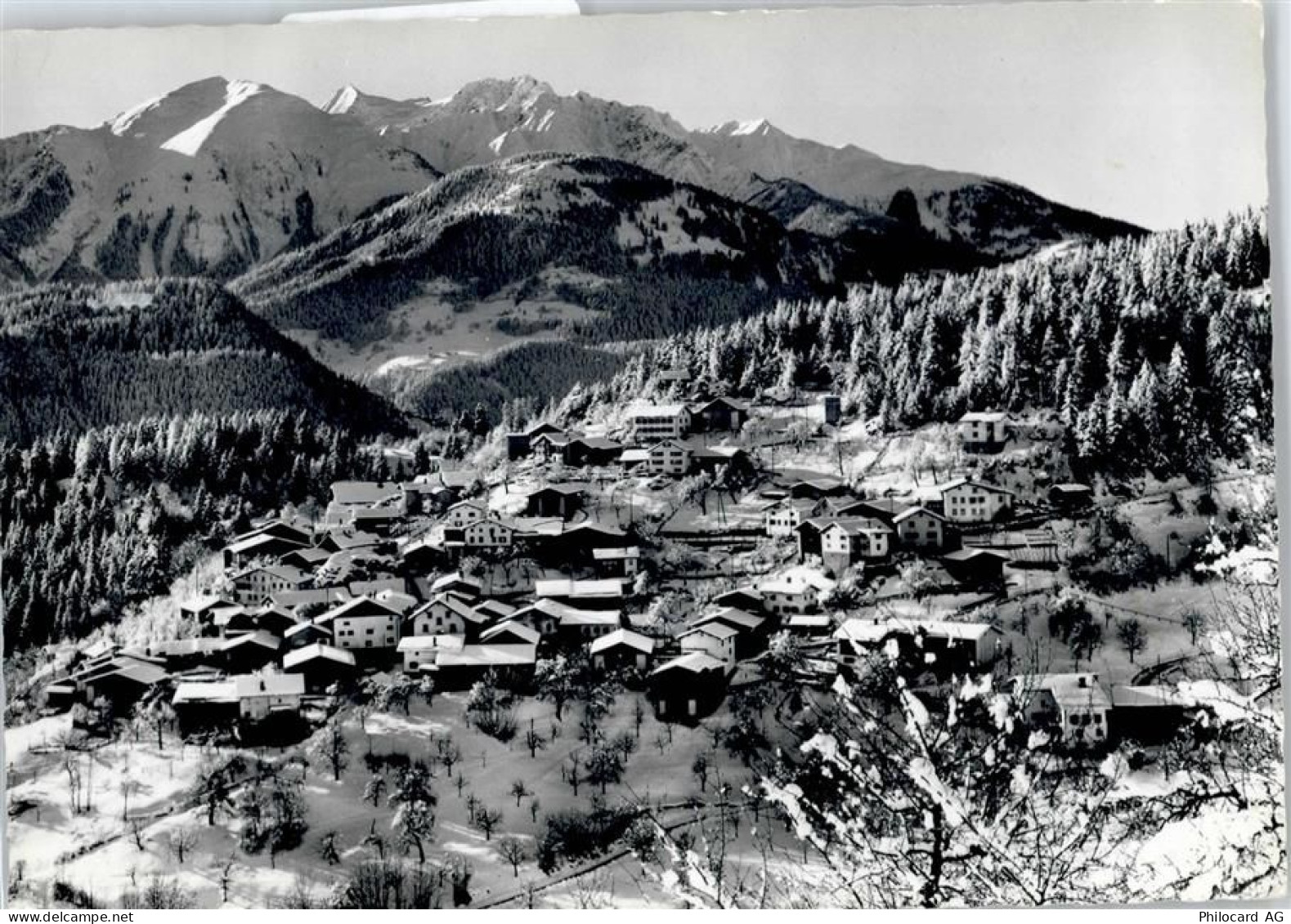 7014 Trin - Gesamtansicht - 50746601