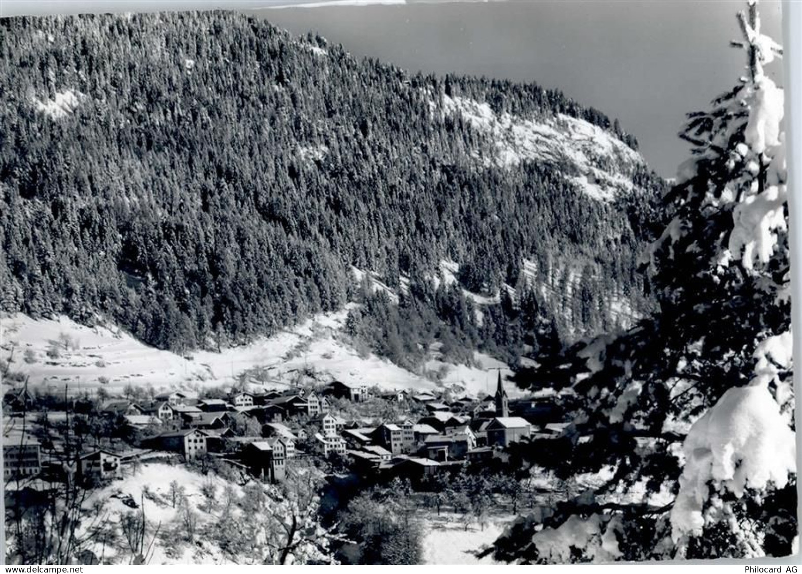 7014 Trin - Gesamtansicht - 50799636