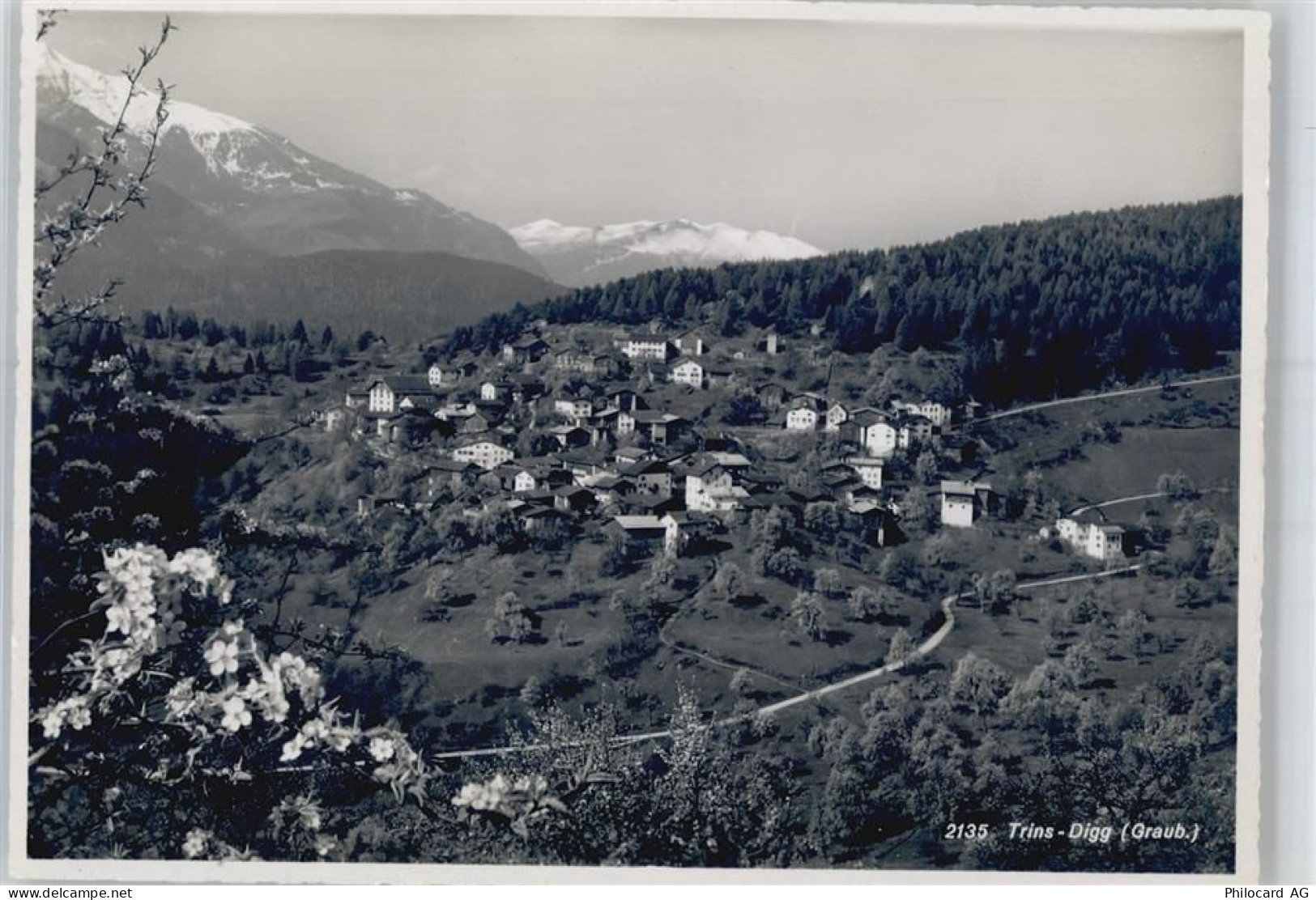 7014 Trin - Trins-Digg - 50995552