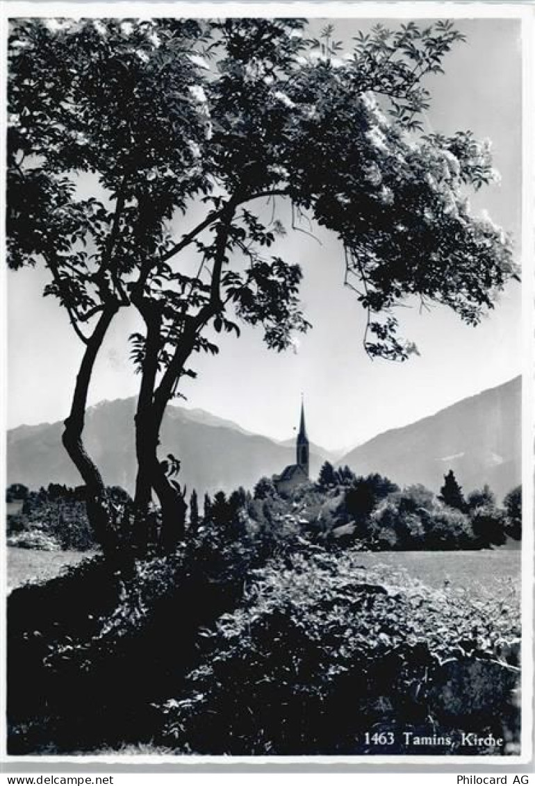 7015 Tamins Reichenau - 50584829