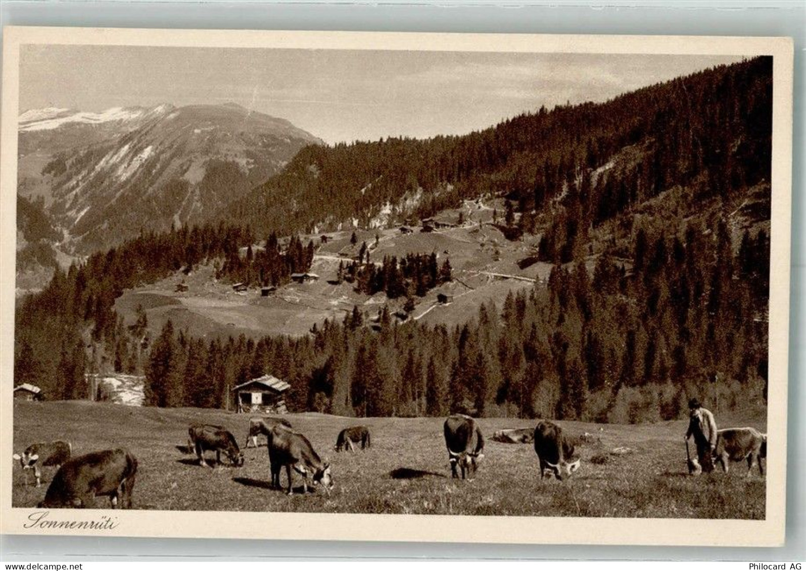 7057 Langwies Foto AK Sonnenrüti - 38219189