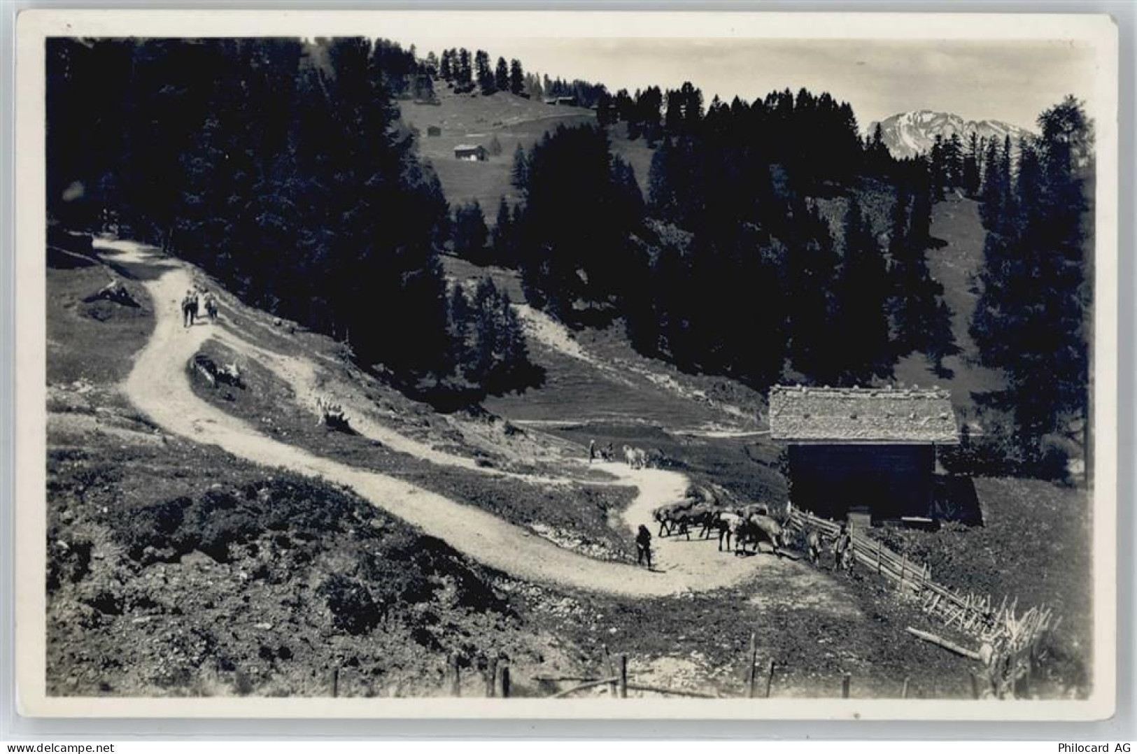 7064 Tschiertschen - 50737055