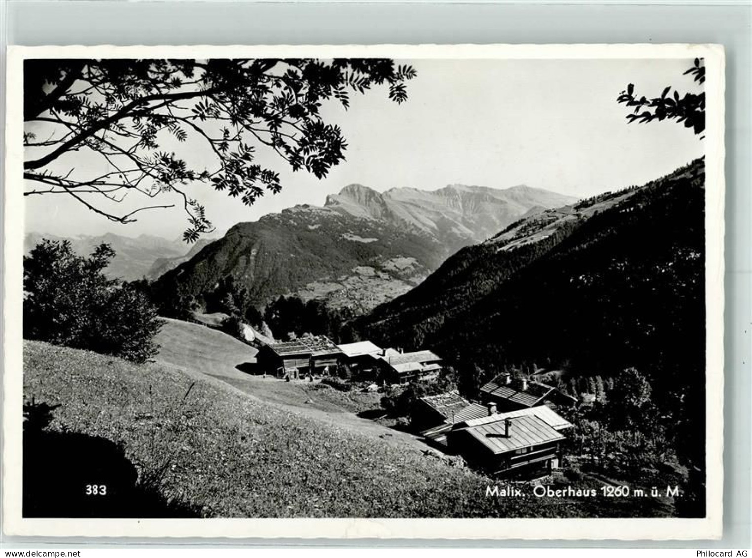 7074 Malix - 10290395