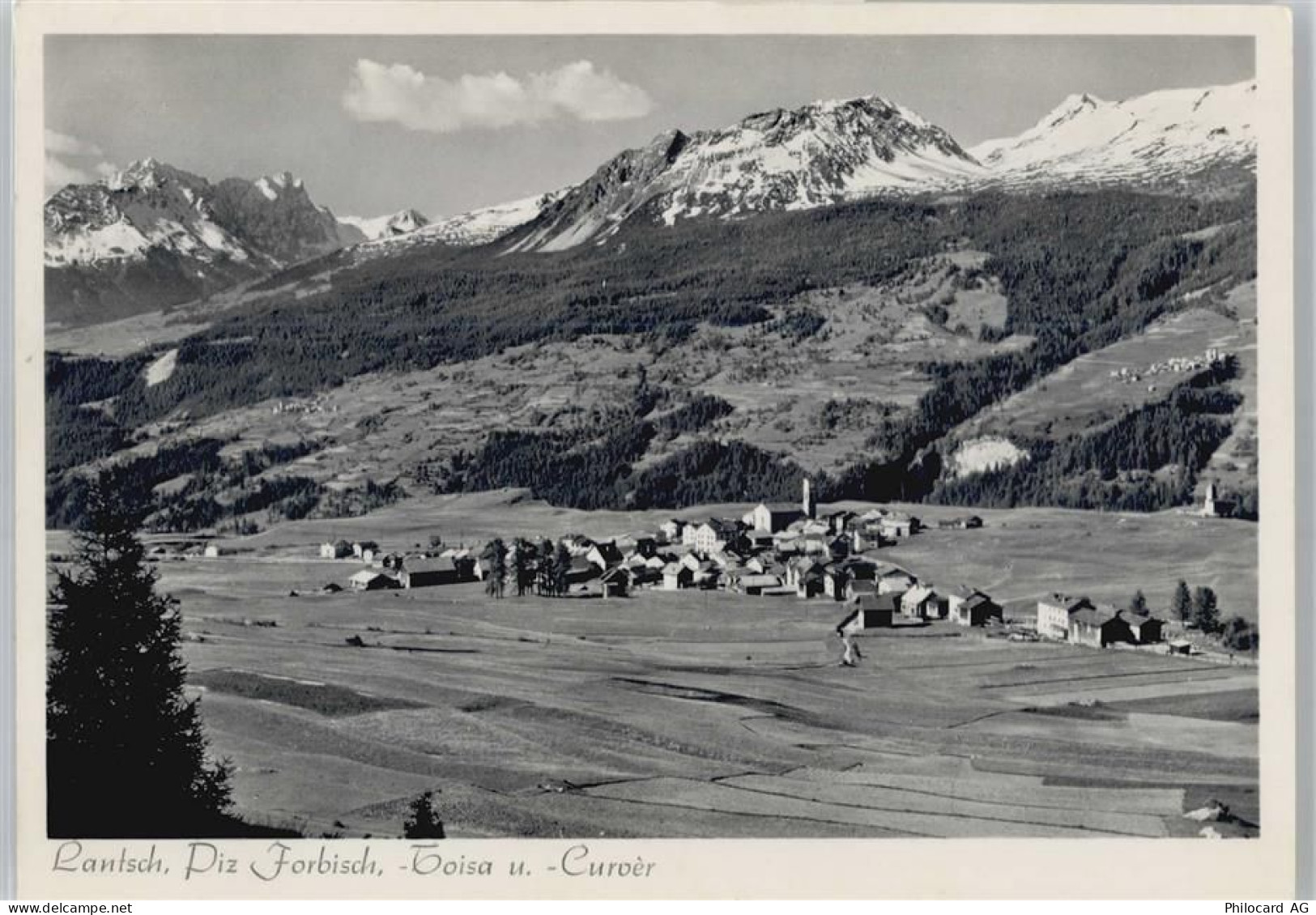 7083 Lantsch/Lenz - Piz Forbisch - 50562942