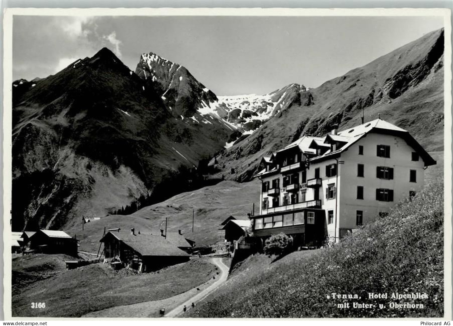 7106 Tenna 1955 - Hotel Alpenblick - Verlag Geiger 3166 AK - 13085058