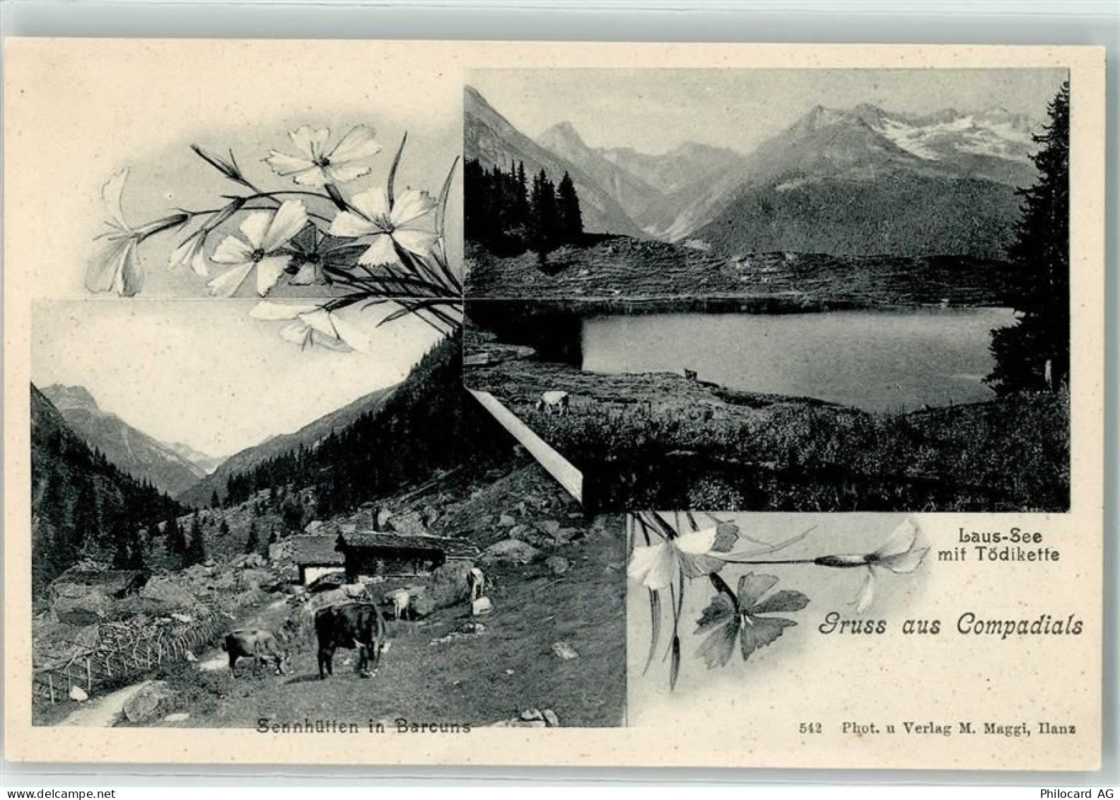 7114 Uors Lumnezia - Laus-See Tödikette Sennhütten in Barcuns Kühe Compa... - 13197628