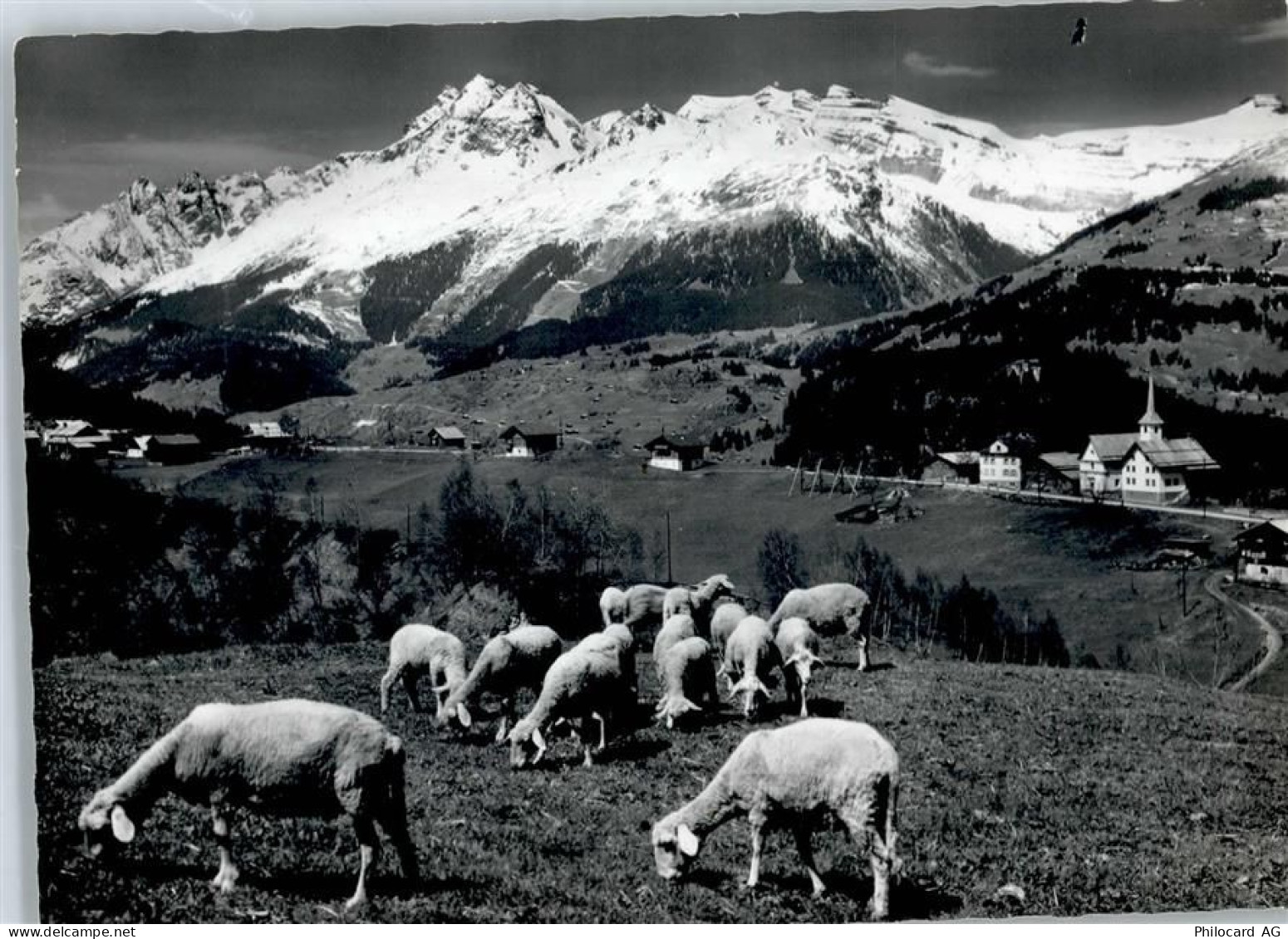 7133 Obersaxen Affeier - Schafe, Egga - 50799545