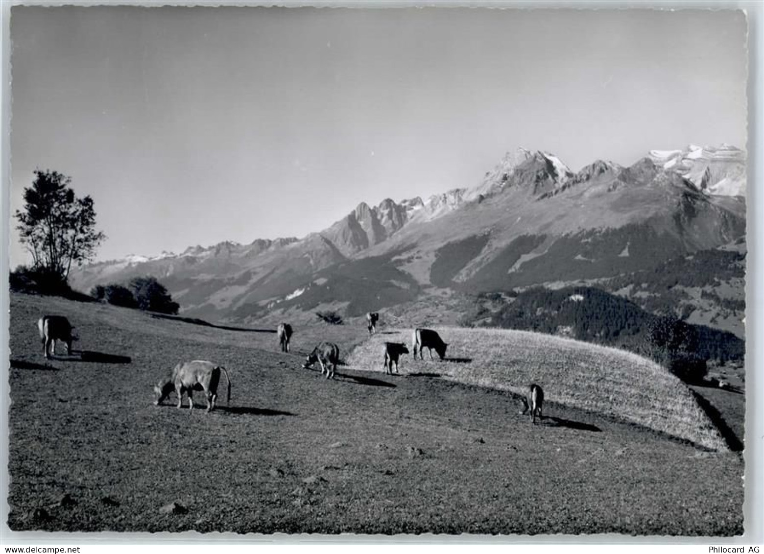 7134 Obersaxen Meierhof - Breigelser Hörner - 51422202