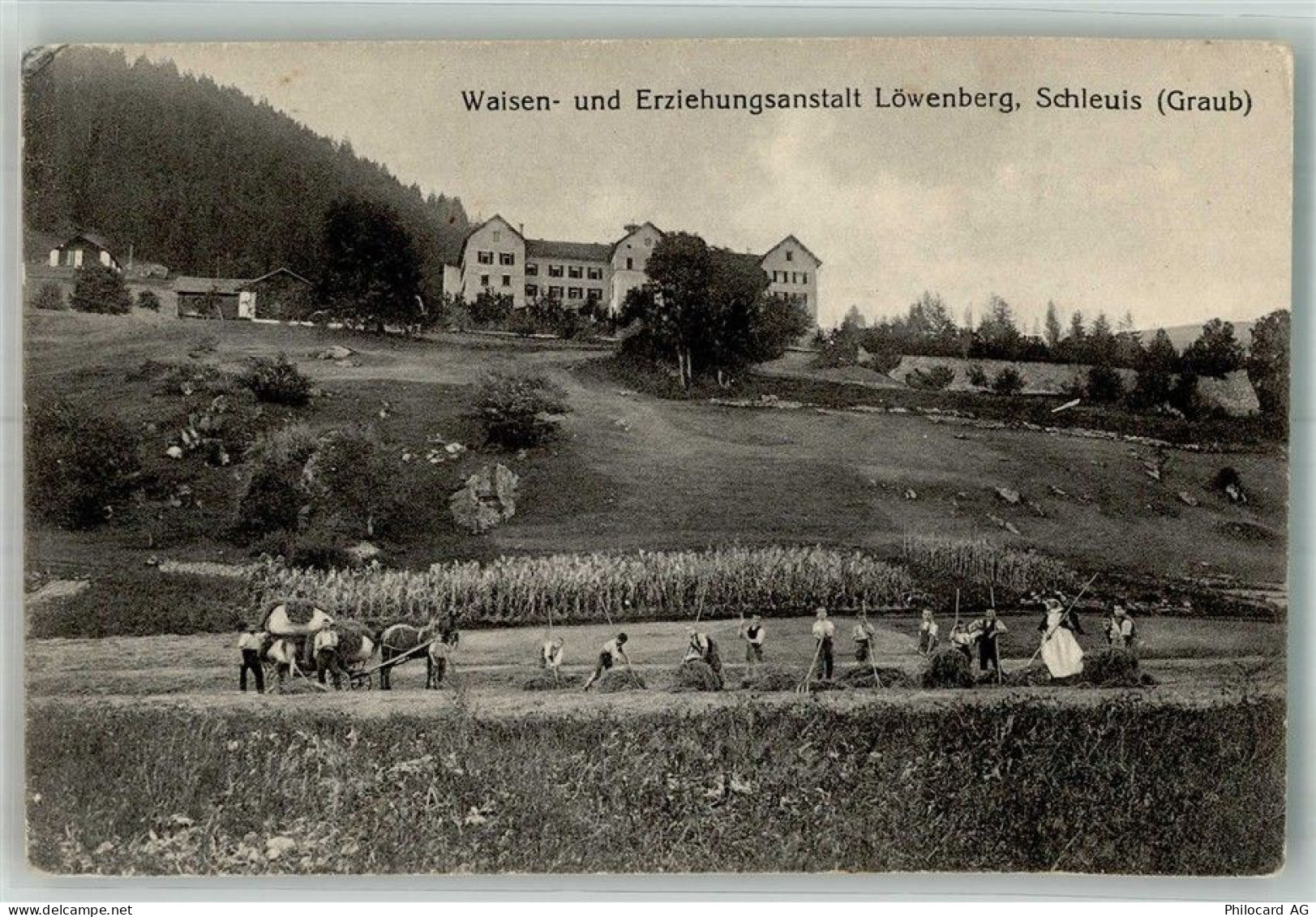 7151 Schluein 1923 Foto AK Kinderheim Waisen und Erziehungsanstalt Löwen... - 14007729