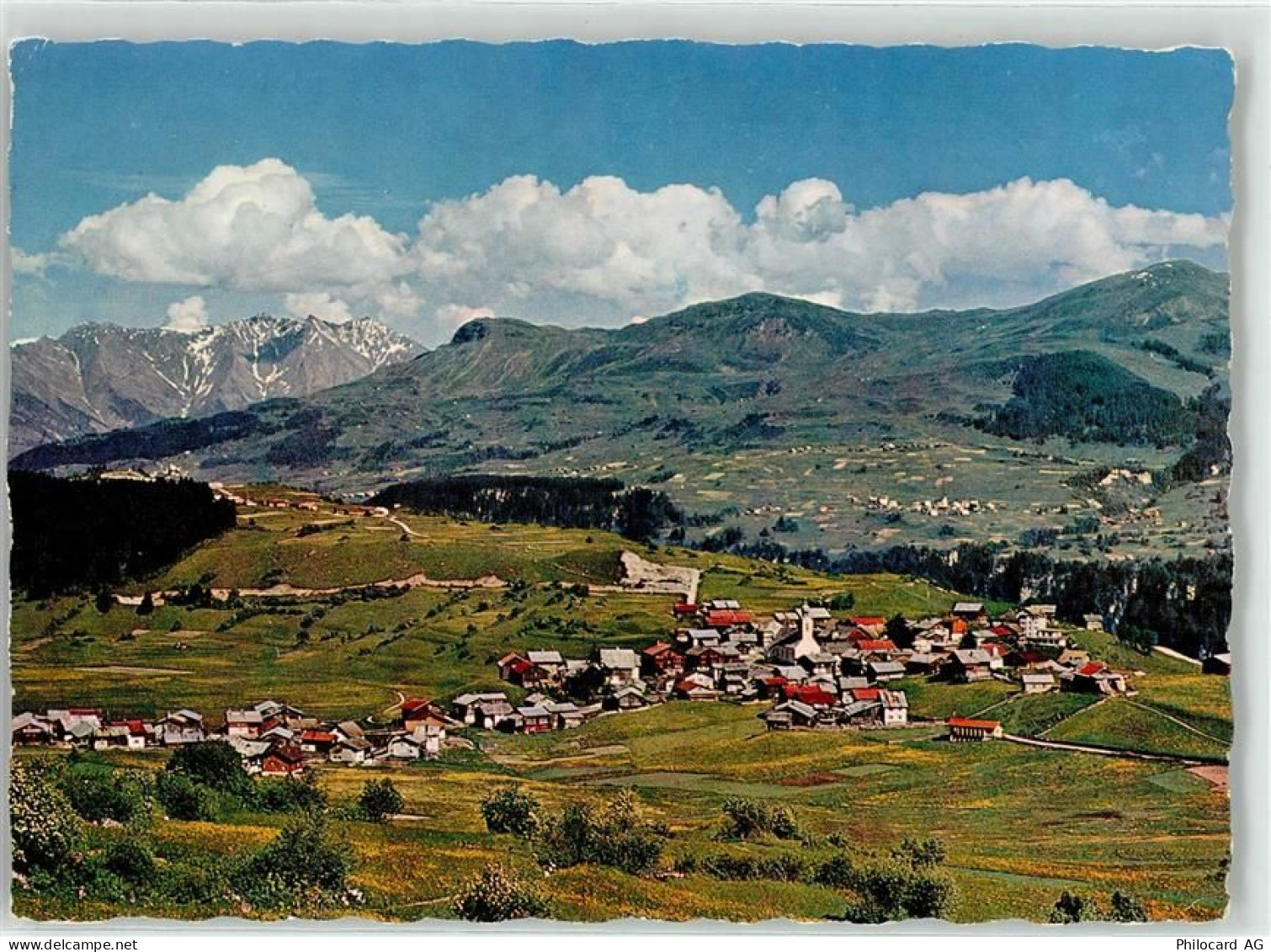 7165 Breil Brigels - 52016824