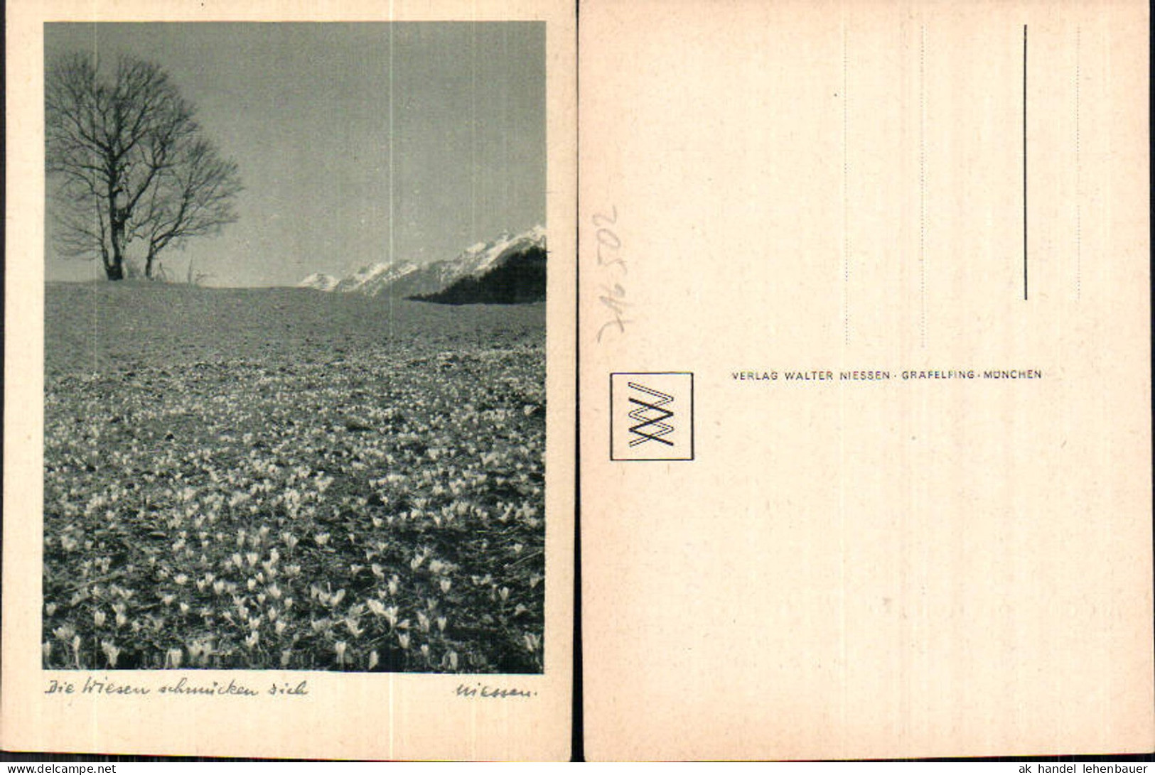 716502 Verlag Walter Niessen Gräfelfing München Wiesen Blumen