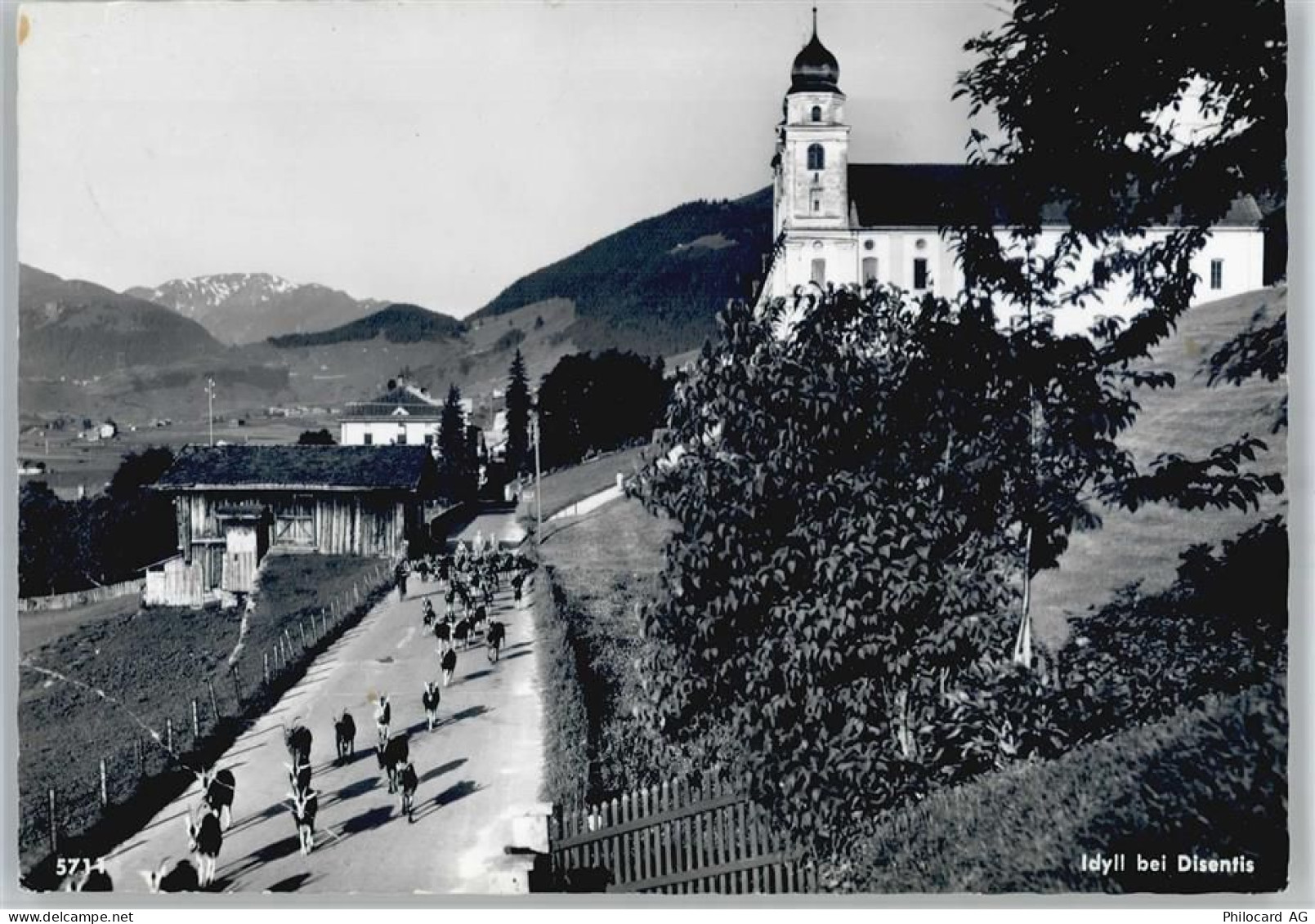 7180 Disentis/Mustér Disla - 50562827