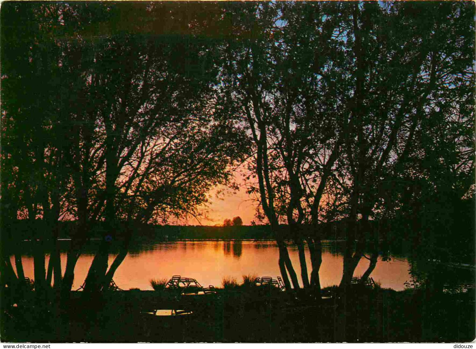 72 - Sille le Guillaume - Sillé-Plage - Coucher de soleil sur le Lac - CPM - Voir Scans Recto-Verso