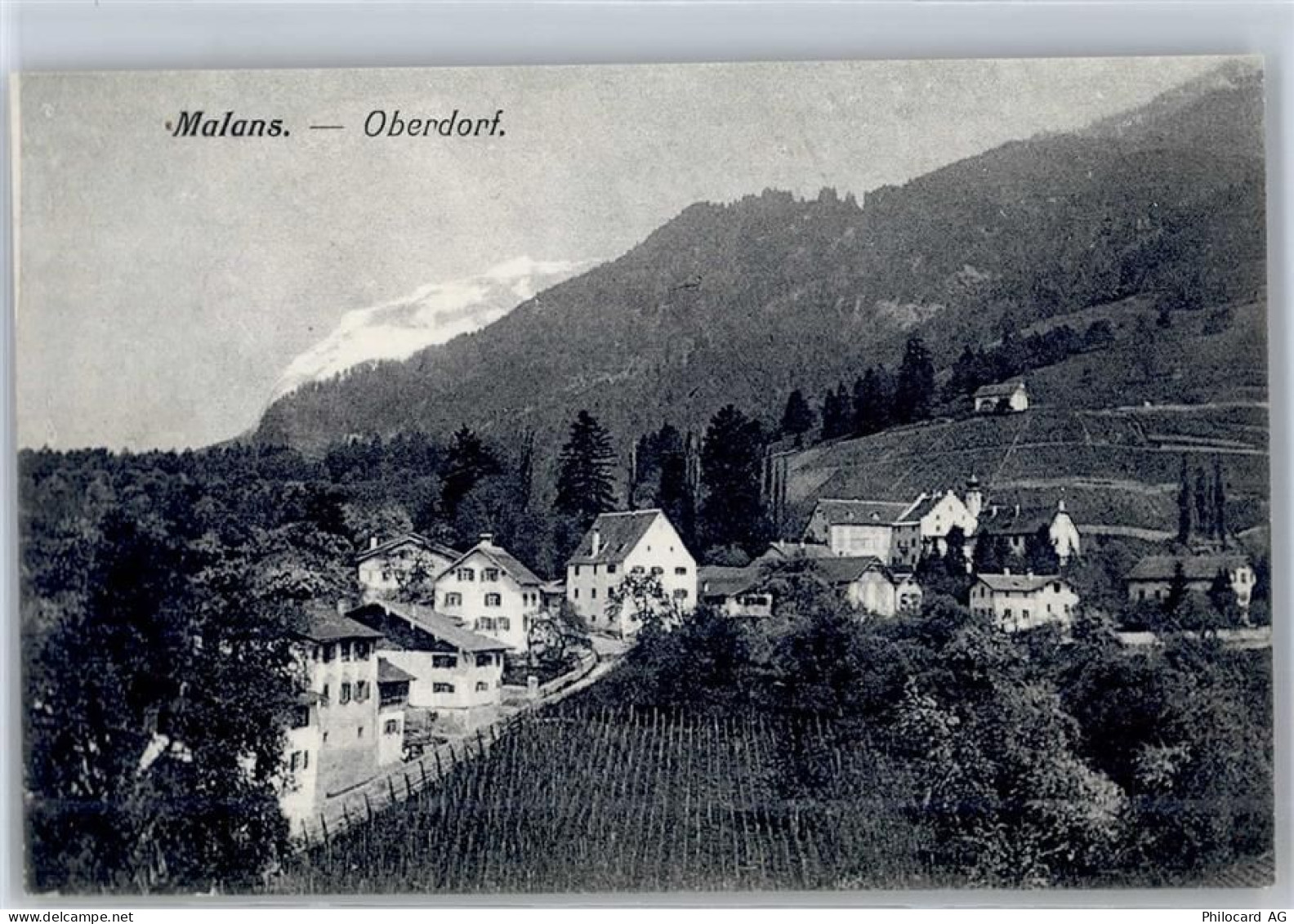 7208 Malans GR - Oberdorf - 51313761