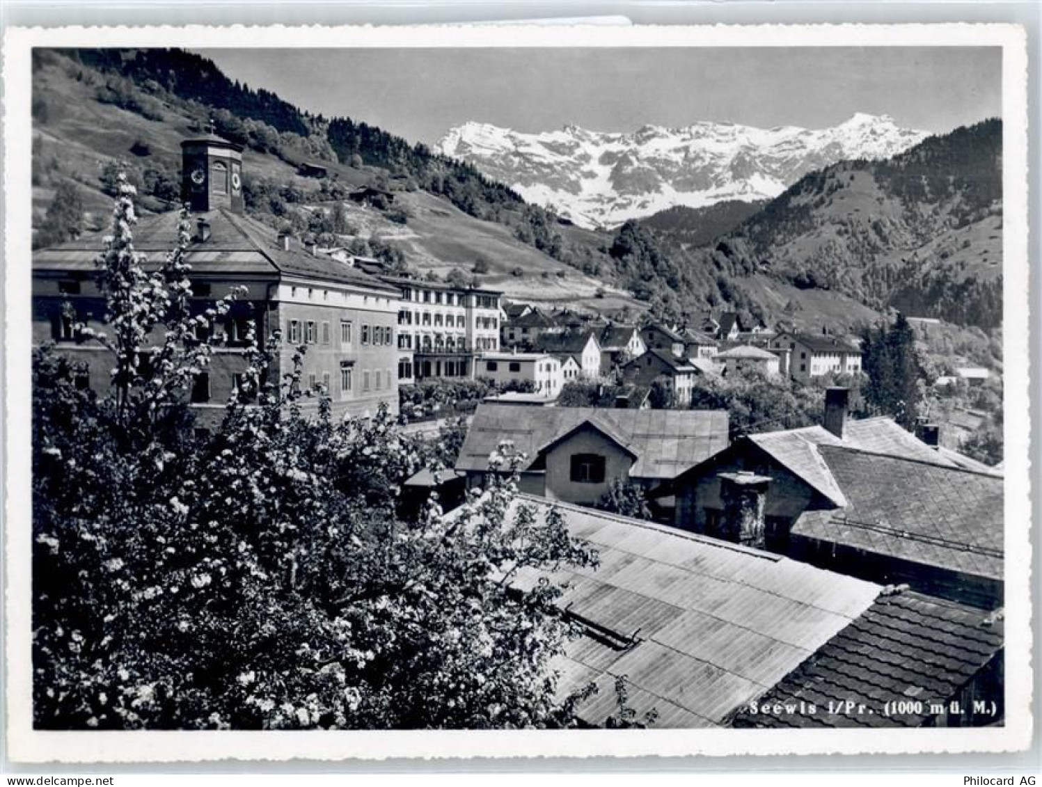 7212 Seewis Dorf - Scesaplana - 50865829