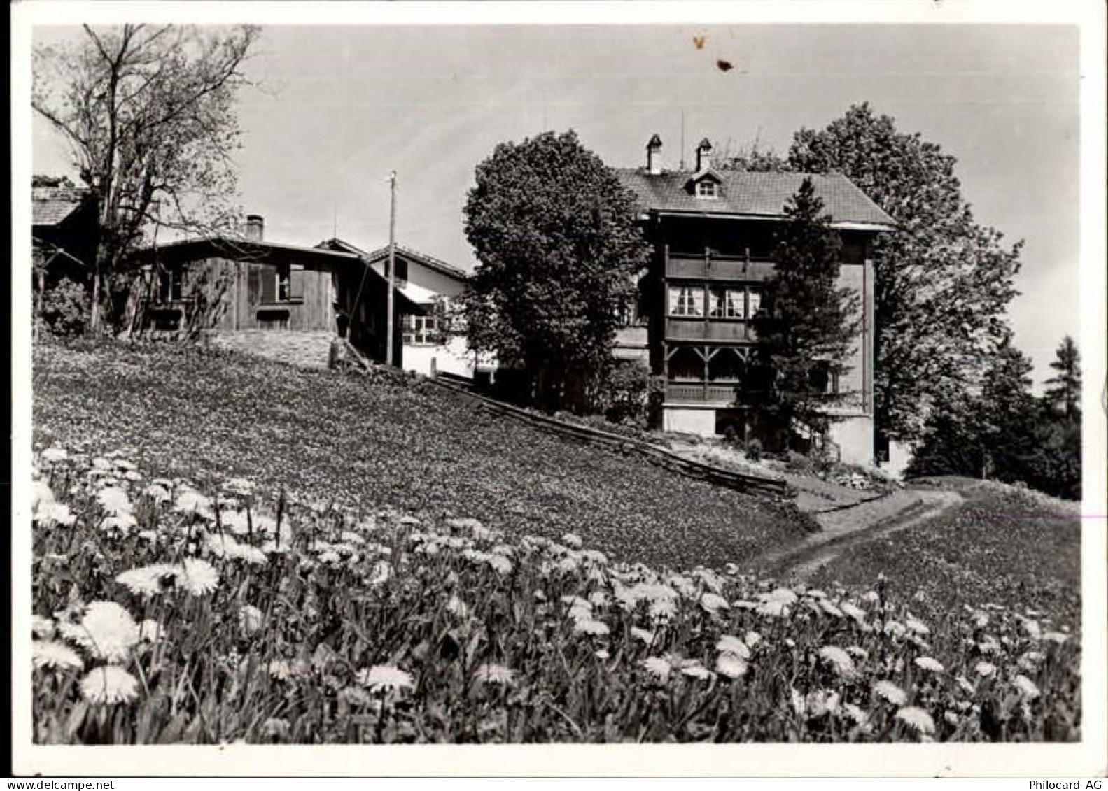 7213 Valzeina - 50470325