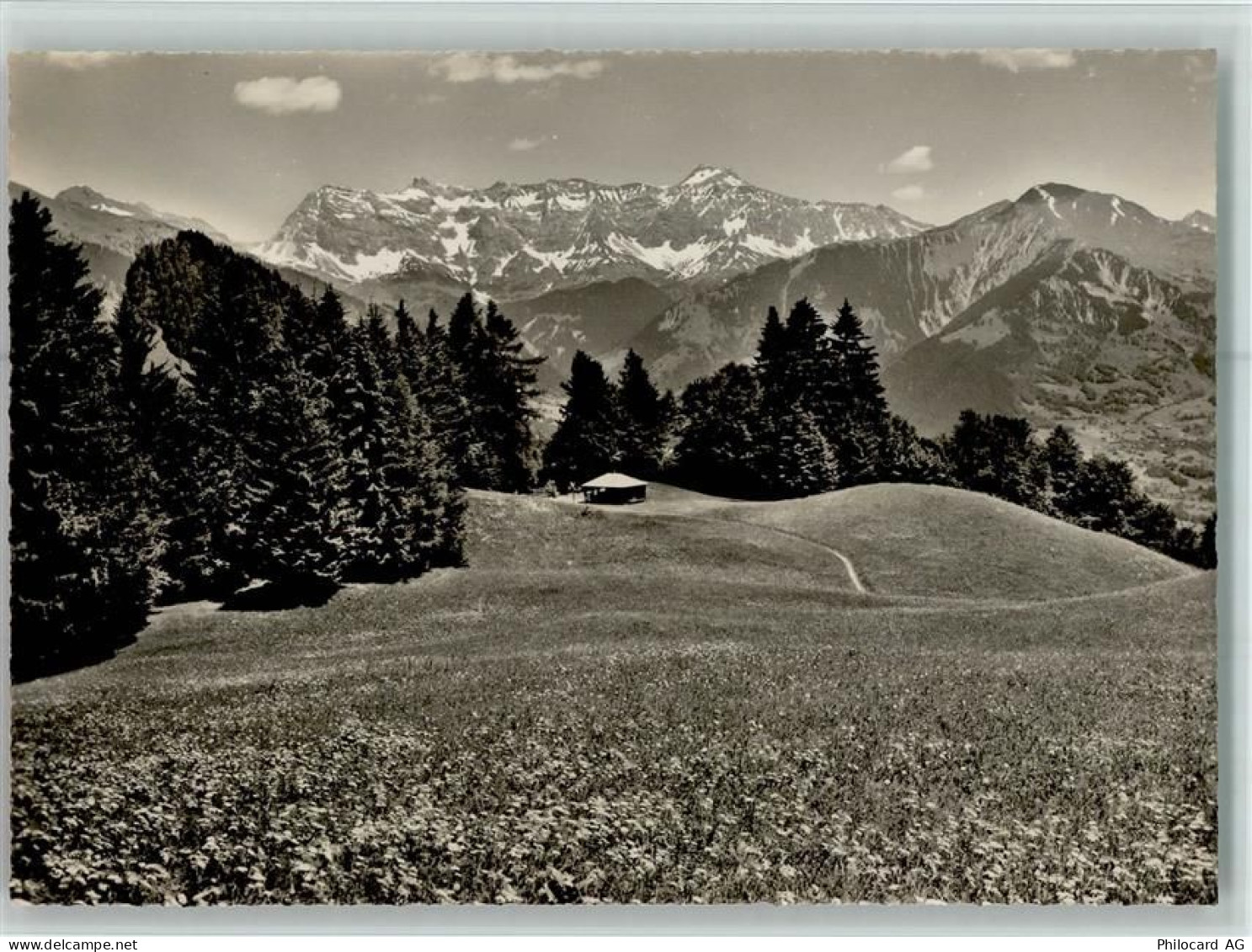 7213 Valzeina - Blick gegen Scesaplana und Sassauna - 40110476