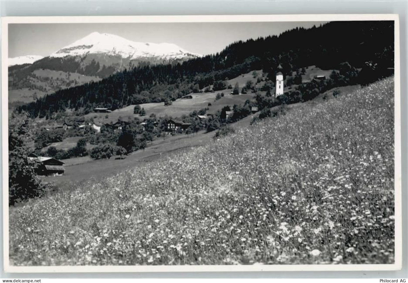 7215 Fanas - 50737864