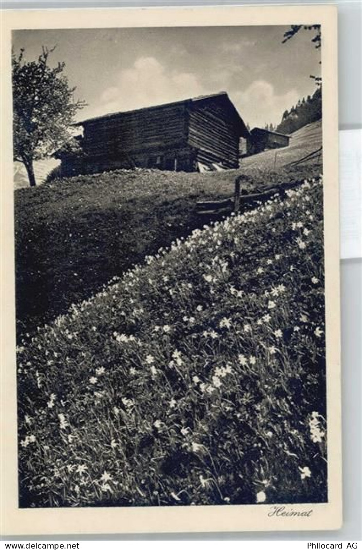 7215 Fanas - 51062062