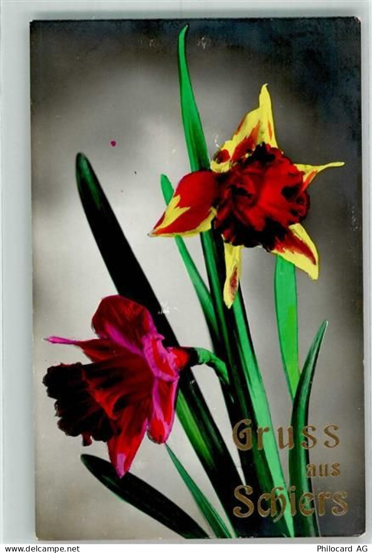 7220 Schiers - Blumenportrait - 39698831