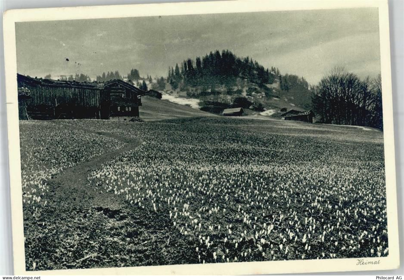 7220 Schiers - Frühling - 51314331