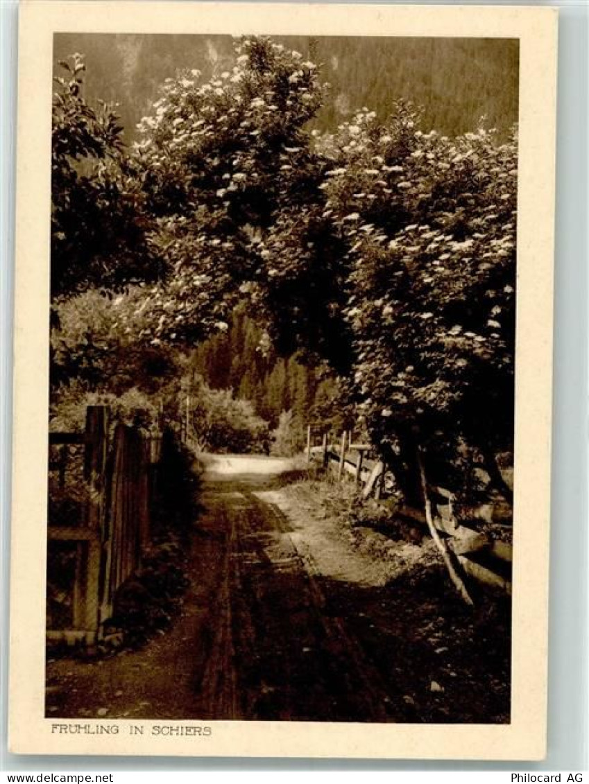 7220 Schiers - Heimatbilderserie Frühling - 39704351